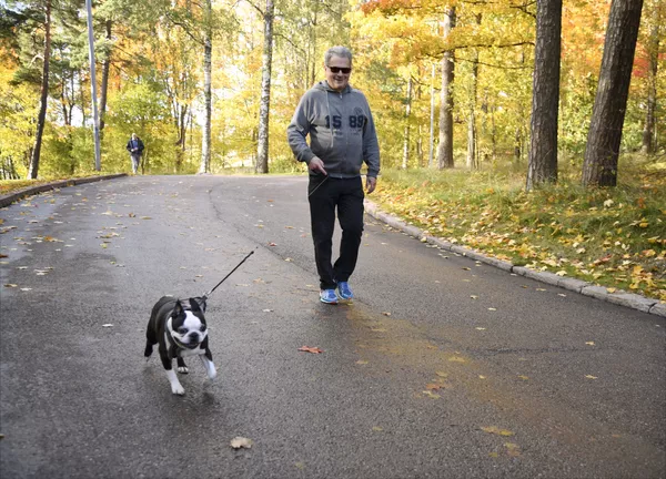 Tổng thống Phần Lan Sauli Niinisto dắt chú chó Terrier Boston tên là Lennu đi dạo ở Helsinki Tổng thống Phần Lan Sauli Niinisto dắt chú chó Terrier Boston tên là Lennu đi dạo ở Helsinki - Sputnik Việt Nam