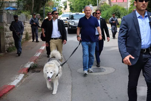 Thủ tướng Israel Benjamin Netanyahu với chú chó Kaia của ông Thủ tướng Israel Benjamin Netanyahu với chú chó Kaia của ông - Sputnik Việt Nam