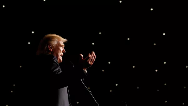 Tổng thống Hoa Kỳ Donald Trump - Sputnik Việt Nam