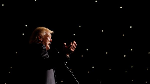 Tổng thống Hoa Kỳ Donald Trump - Sputnik Việt Nam