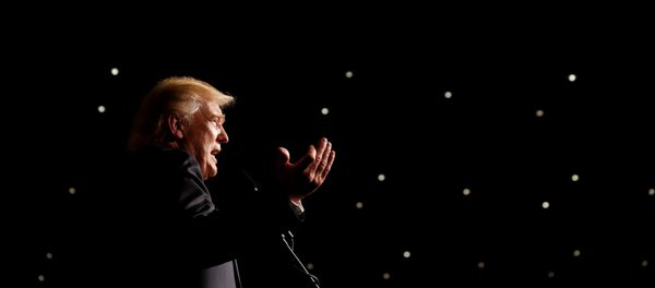 Tổng thống Hoa Kỳ Donald Trump - Sputnik Việt Nam