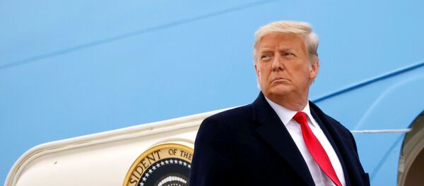 Donald Trump - Sputnik Việt Nam