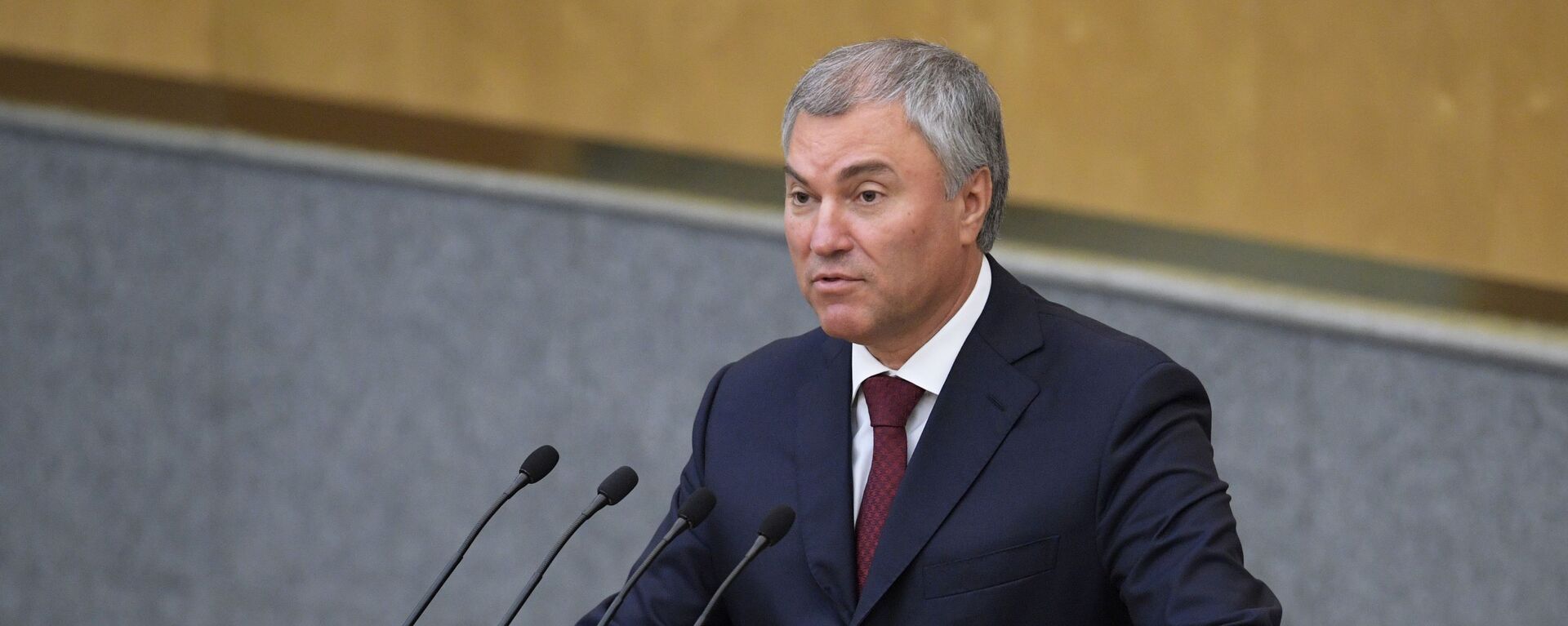 Chủ tịch Duma Quốc gia Nga Vyacheslav Volodin - Sputnik Việt Nam, 1920, 16.04.2024