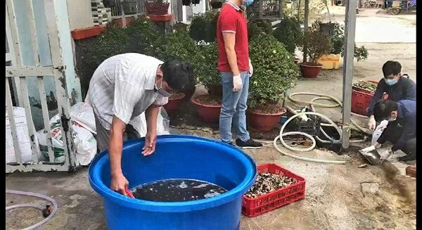 Phát hiện một cơ sở ngâm thịt ốc bươu với hóa chất công nghiệp trước khi bán - Sputnik Việt Nam