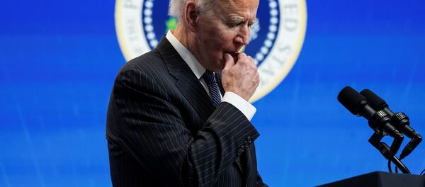 Tổng thống Hoa Kỳ Joe Biden - Sputnik Việt Nam