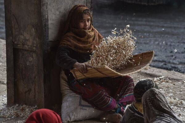 Cô bé bóc tỏi tại khu chợ ở Lahore, Pakistan. - Sputnik Việt Nam