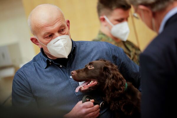 Nhà nghiên cứu Phòng khám Thú y Đại học Hanover giới thiệu con chó giống Cocker Spaniel tên là Joe, có khả năng phát hiện COVID-19 trong mẫu nước bọt của người - Sputnik Việt Nam