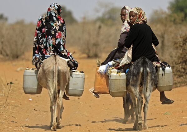 Những người phụ nữ Sudan chở nước trên lưng lừa ở làng ngoại ô cách Nyala 85 km  - Sputnik Việt Nam