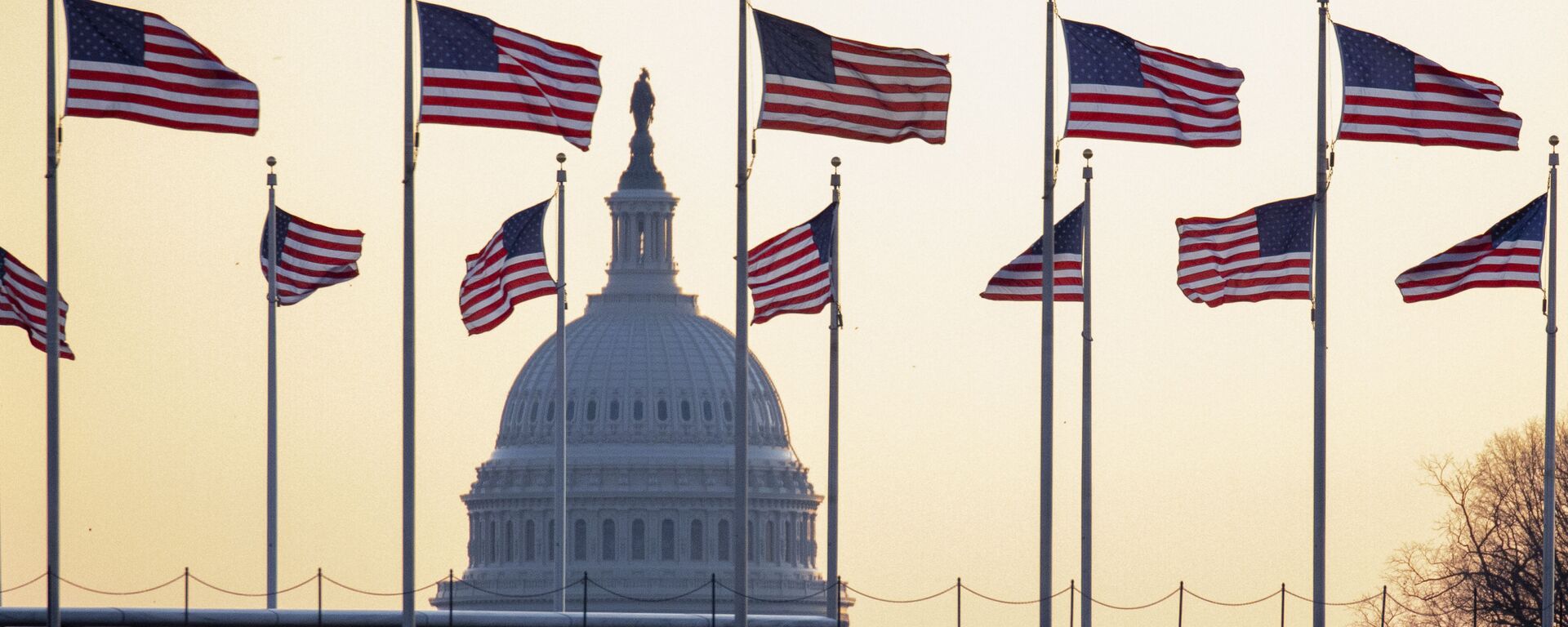 Cờ Mỹ trên nền của Điện Capitol ở Washington, Mỹ - Sputnik Việt Nam, 1920, 24.07.2024