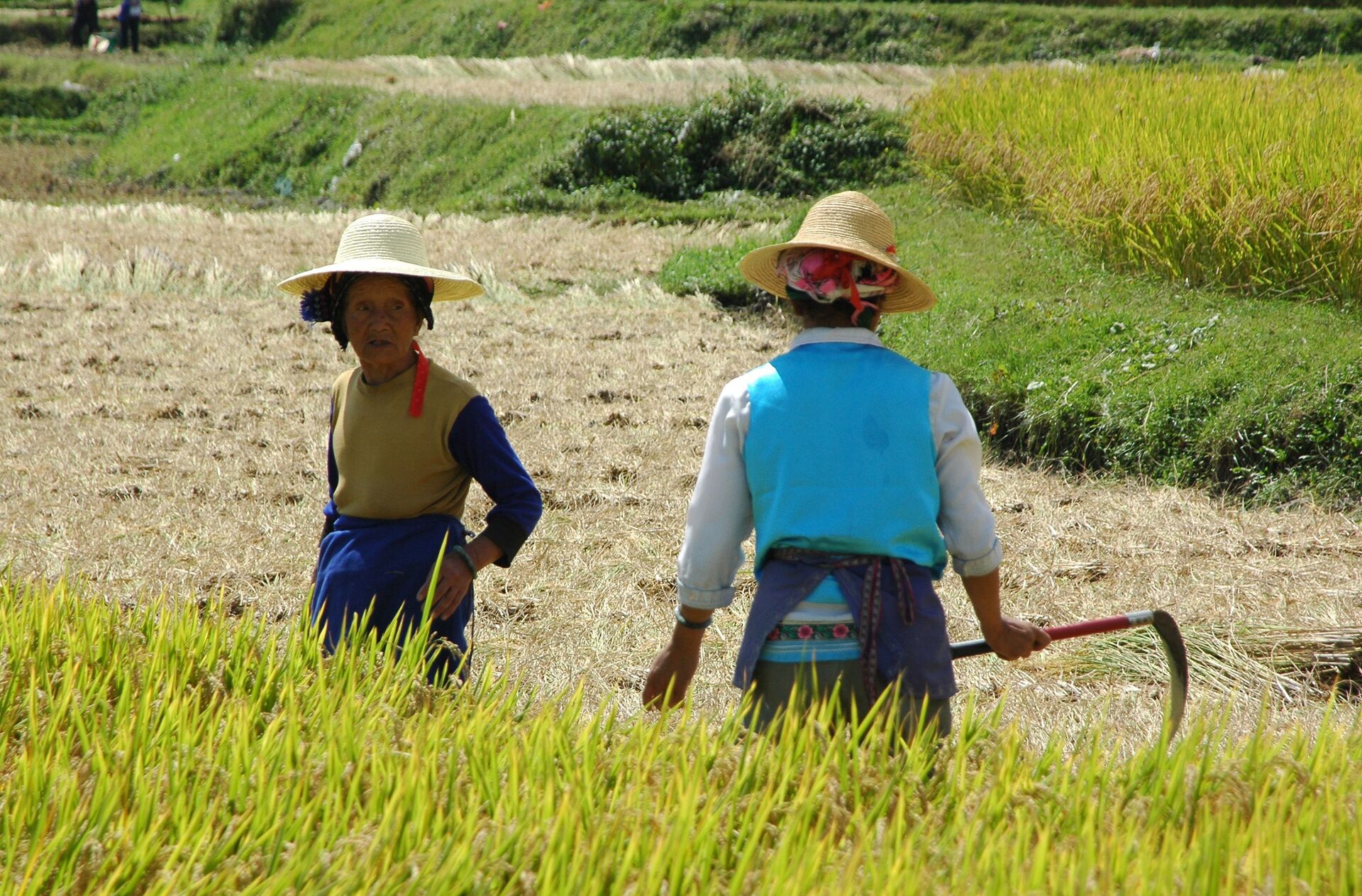 Nhiệm vụ khả thi. Trung Quốc chiến thắng tình trạng nghèo đói tuyệt đối như thế nào? - Sputnik Việt Nam, 1920, 25.02.2021