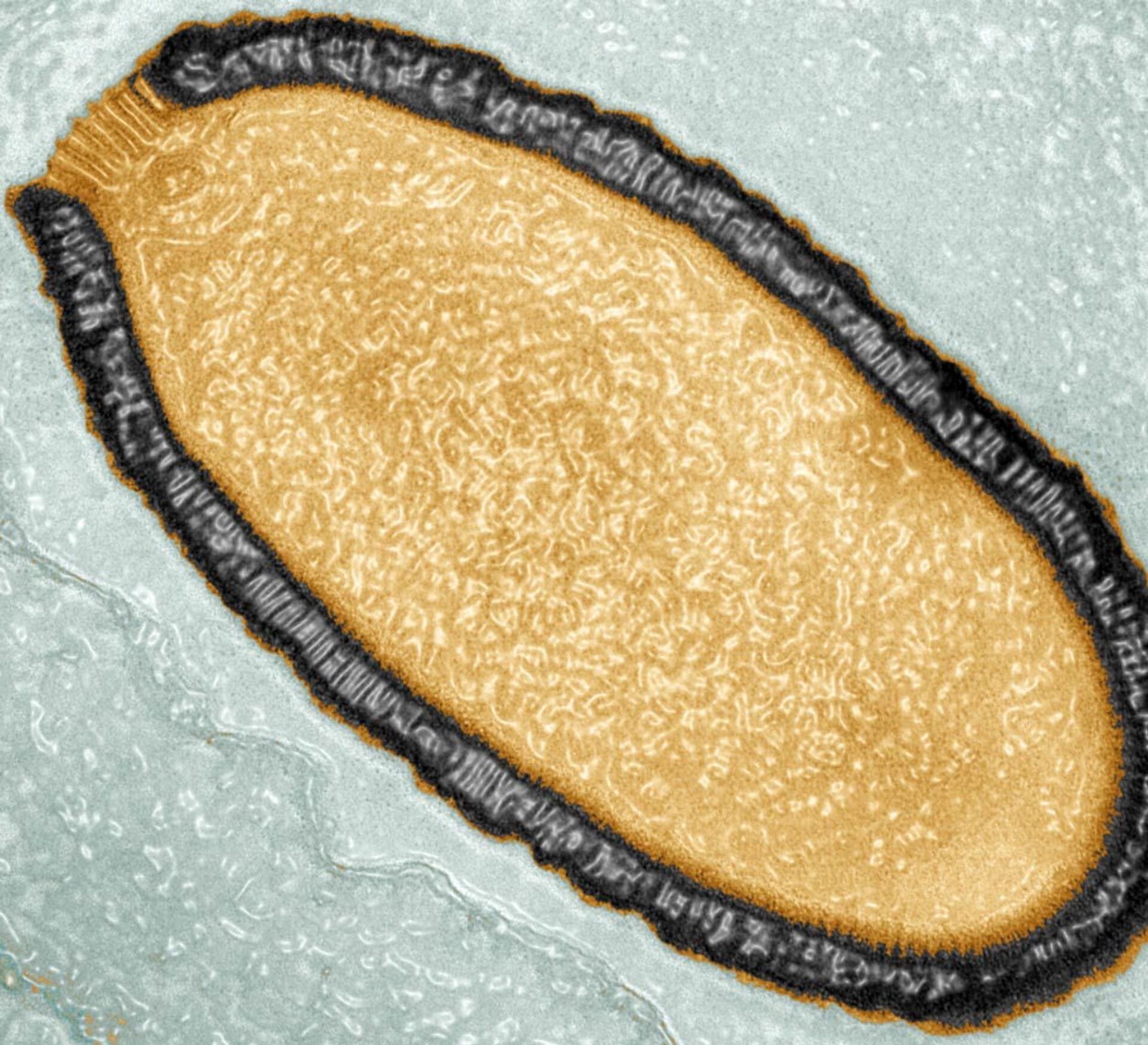 Các virus và vi khuẩn cổ xưa được phát hiện trong lớp băng vĩnh cửu nguy hiểm như thế nào? - Sputnik Việt Nam, 1920, 07.03.2021