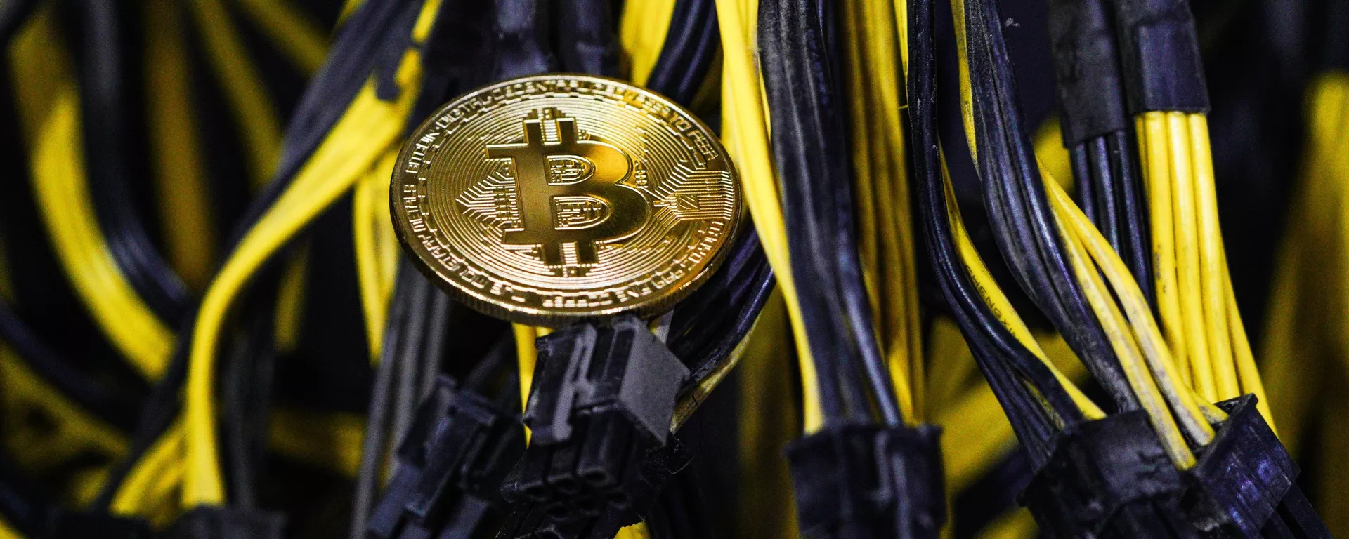 Trang trại khai thác Bitcoin - Sputnik Việt Nam, 1920, 03.03.2021
