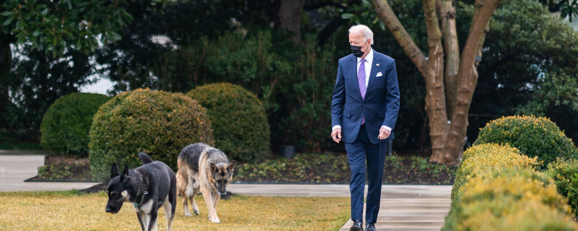 Joe Biden với hai con chó Champ và Major tại Nhà Trắng. - Sputnik Việt Nam, 1920, 09.03.2021