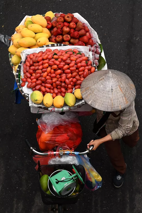 Hàng trái cây trên xe đạp ở Hà Nội Hàng trái cây trên xe đạp ở Hà Nội - Sputnik Việt Nam