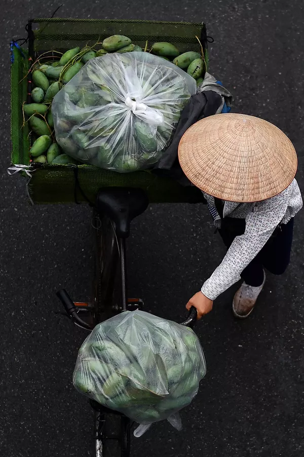 Hàng xoài trên xe đạp ở Hà Nội Hàng xoài trên xe đạp ở Hà Nội - Sputnik Việt Nam