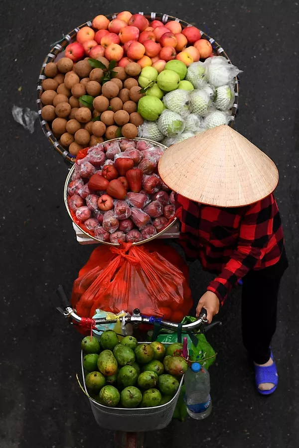 Hàng trái cây trên xe đạp ở Hà Nội Hàng trái cây trên xe đạp ở Hà Nội - Sputnik Việt Nam
