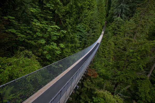 Cầu treo Capilano ở Canada - Sputnik Việt Nam