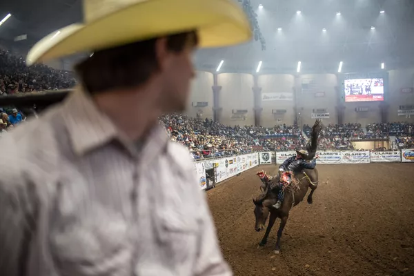 Chương trình Rodeo ở San Angelo, Texas Chương trình Rodeo ở San Angelo, Texas - Sputnik Việt Nam