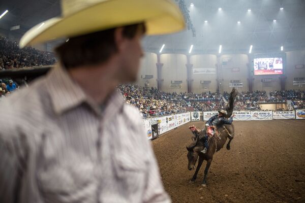 Chương trình Rodeo ở San Angelo, Texas - Sputnik Việt Nam