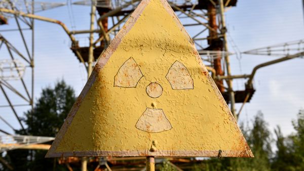 Bảng hiệu cảnh báo bức xạ trong khu vực loại trừ của nhà máy điện hạt nhân Chernobyl. - Sputnik Việt Nam