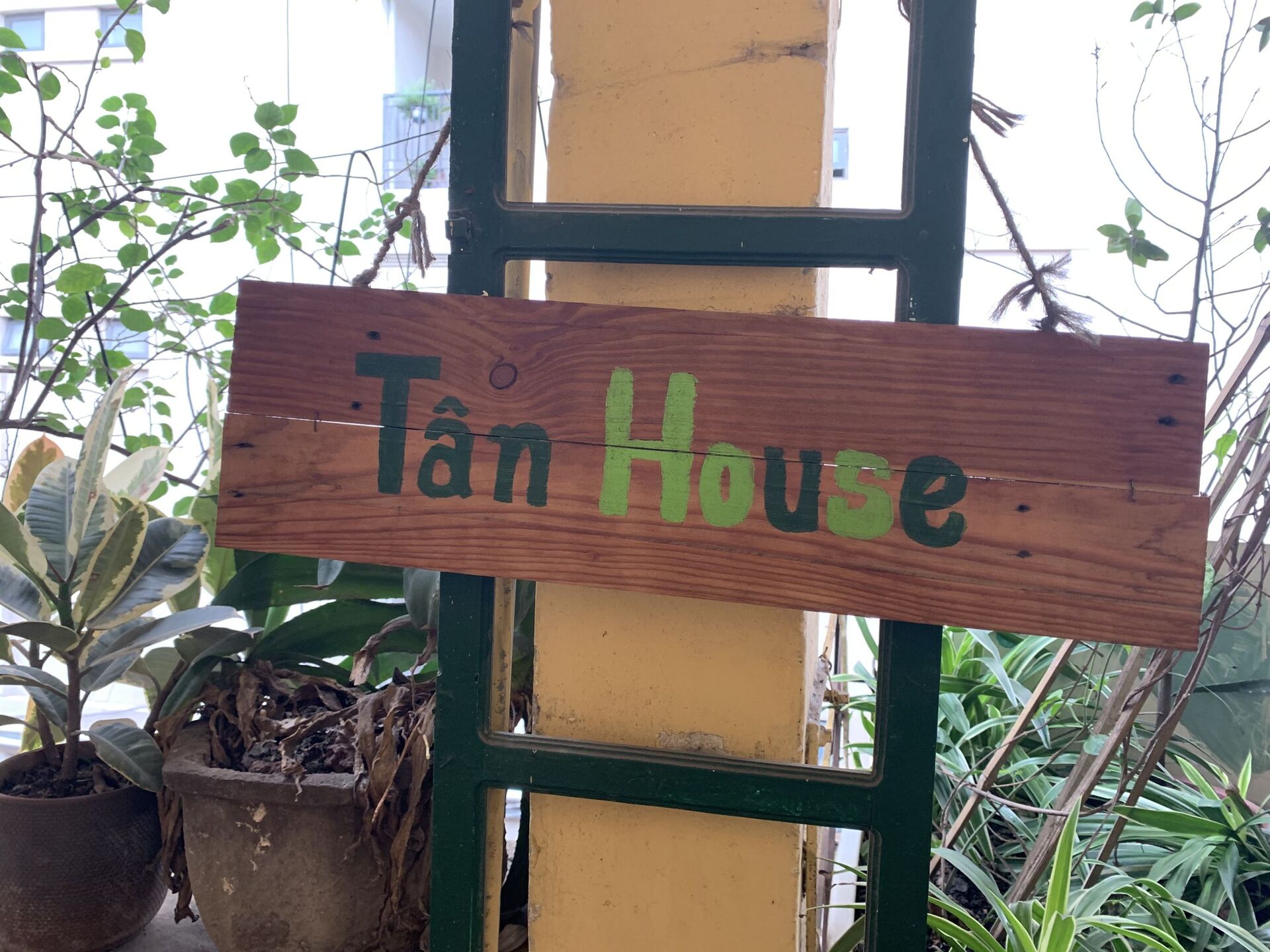 Tân House - Nơi thưởng trà, thiền vị giữa nhân gian - Sputnik Việt Nam, 1920, 03.05.2021