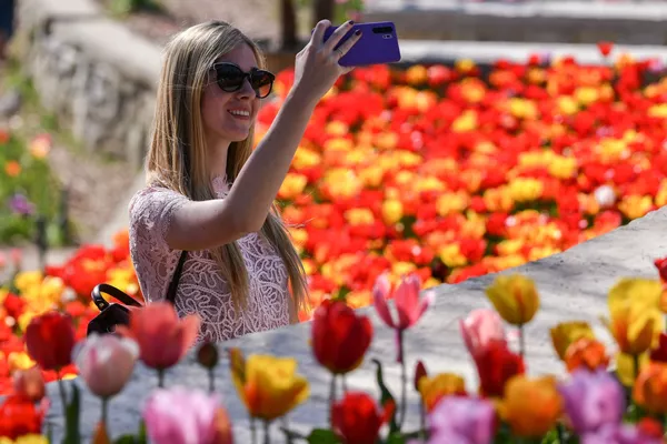 Khách thăm triển lãm «Cuộc diễu hành của hoa Tulip» trong Vườn bách thảo Nikitsky ở Yalta, LB Nga Khách thăm triển lãm «Cuộc diễu hành của hoa Tulip» trong Vườn bách thảo Nikitsky ở Yalta, LB Nga - Sputnik Việt Nam