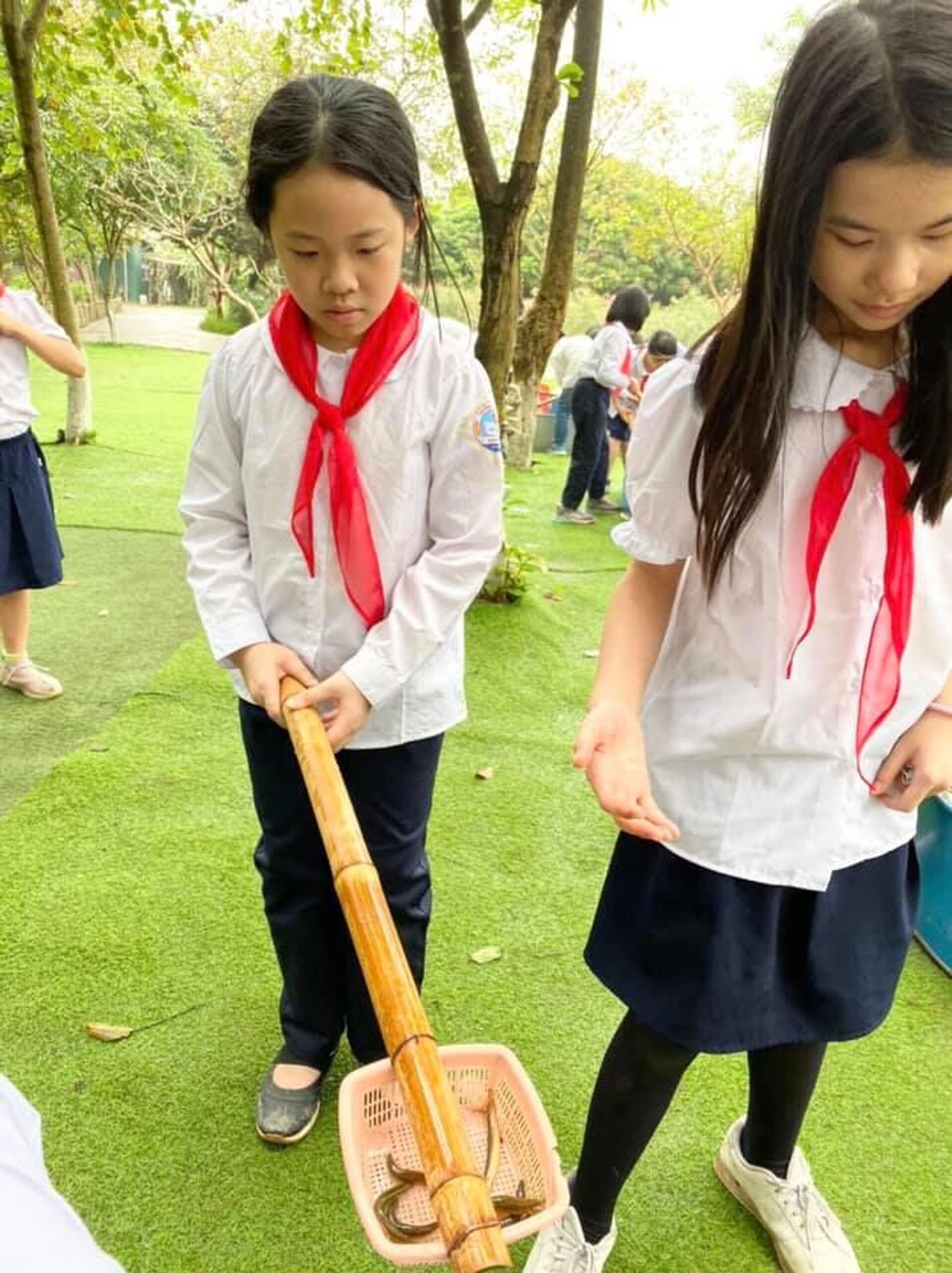 Đội viên Đội TNTP Hồ Chí Minh: Góp phần vào sự nghiệp cách mạng, xây dựng đất nước giàu mạnh - Sputnik Việt Nam, 1920, 15.05.2021