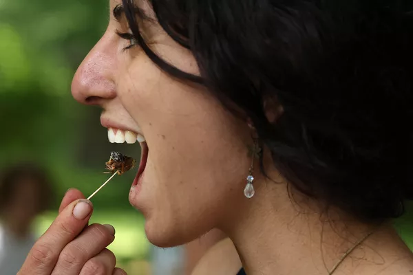 Một cô gái đang nếm thử món ve sầu chiên trong lễ hội Cicadafest ở Mỹ