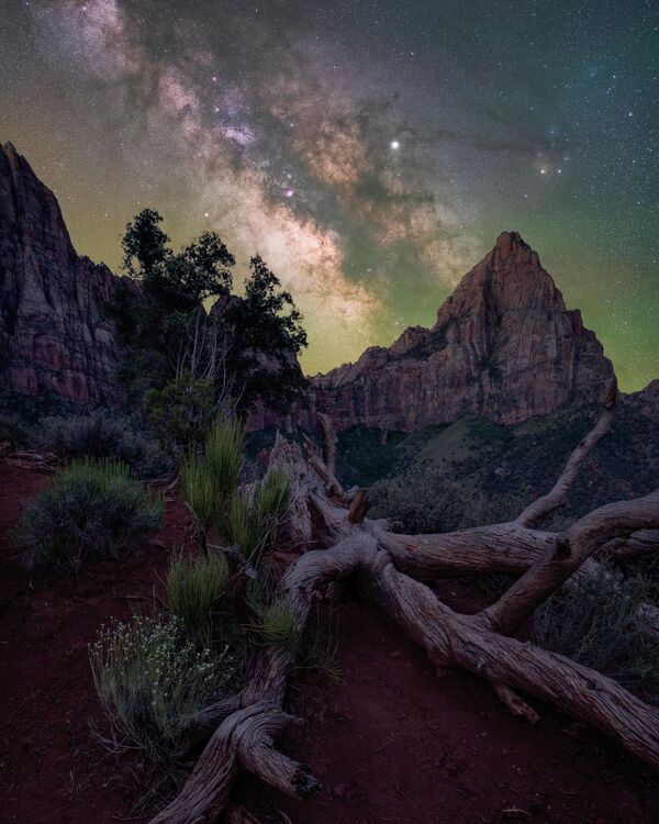 Ảnh 'The watchman' (Người canh gác) của Brandt Ryder, nhiếp ảnh gia thuộc top đầu trong cuộc thi 2021 Milky Way Photographer of the Year - Sputnik Việt Nam