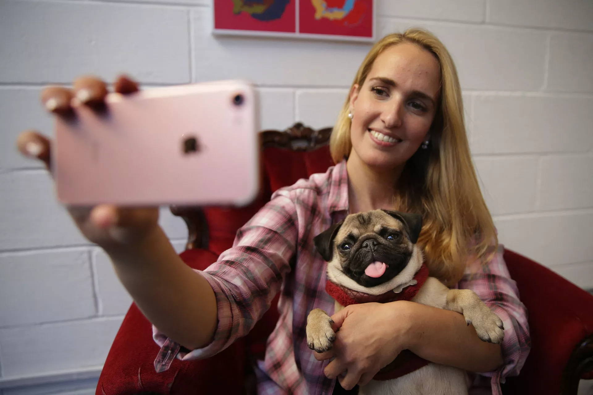 Chủ quán Pug Cafe ở London với con cho Pug Chủ quán Pug Cafe ở London với con cho Pug - Sputnik Việt Nam, 1920, 16.01.2024