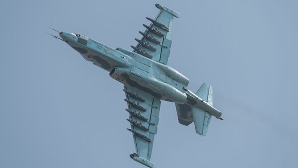 Máy bay cường kích Sukhoi SU-25 tại triển lãm hàng không đầu tiên của Triều Tiên ở Wonsan - Sputnik Việt Nam