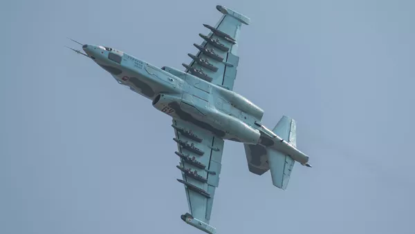 Máy bay cường kích Sukhoi SU-25 tại triển lãm hàng không đầu tiên của Triều Tiên ở Wonsan - Sputnik Việt Nam