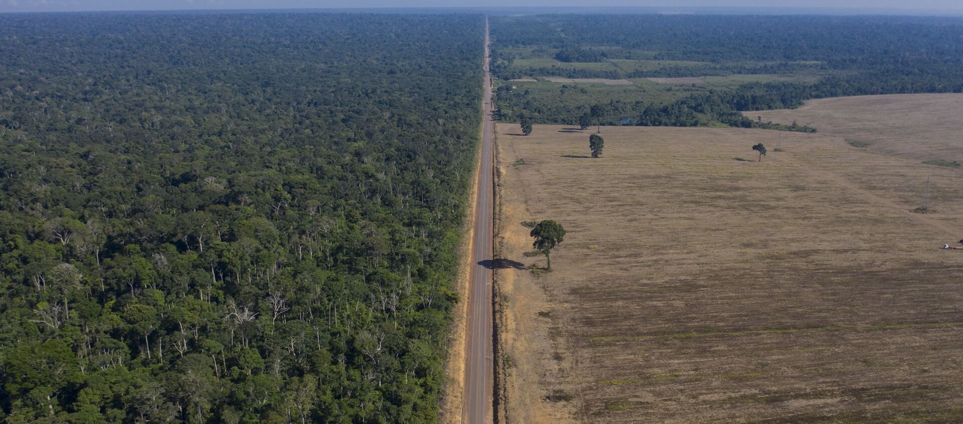 Phá rừng ở Brazil - Sputnik Việt Nam, 1920, 30.06.2021