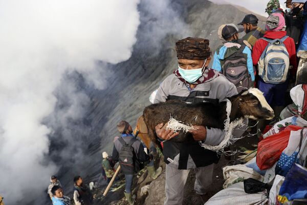 Một người đàn ông mang theo con dê làm vật tế trong miệng núi lửa Bromo tại lễ hội Yadnya Kasada ở Probolinggo, Indonesia - Sputnik Việt Nam