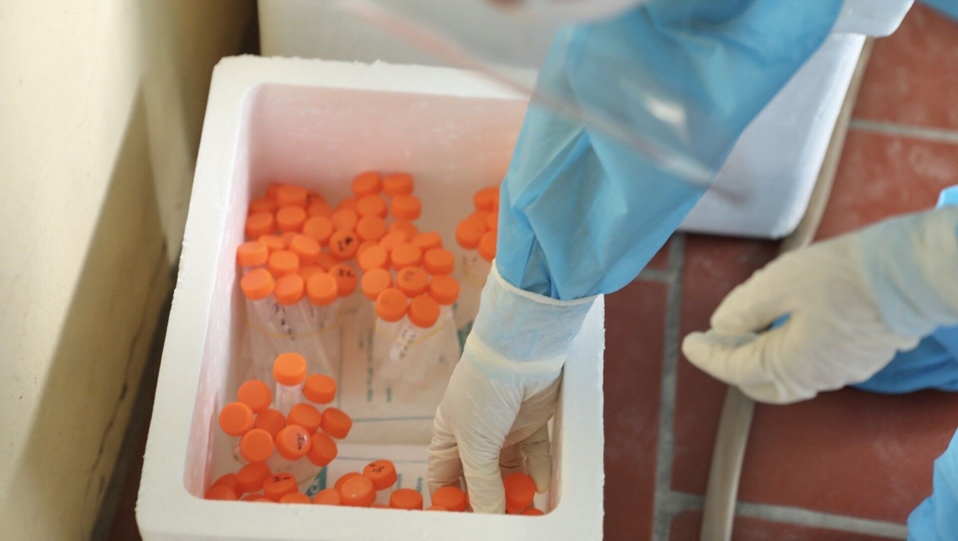 Mẫu được lấy chuyển đi xét nghiệm. - Sputnik Việt Nam, 1920, 07.07.2021