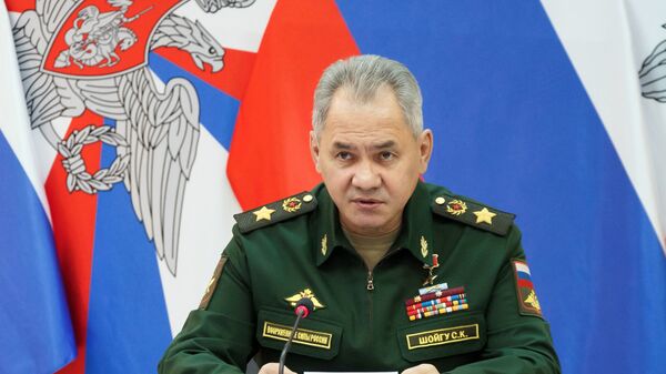 Bộ trưởng Quốc phòng Nga Sergei Shoigu - Sputnik Việt Nam