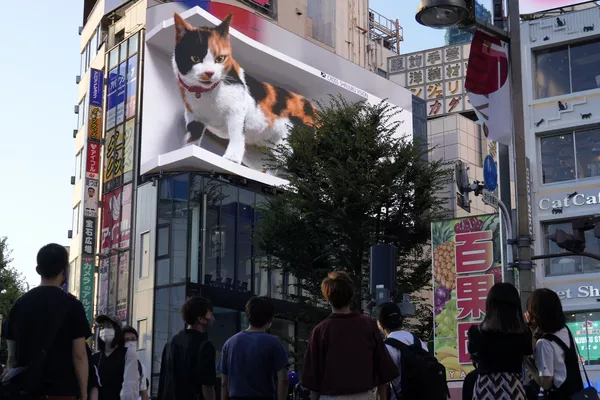 Quảng cáo video 3D với hình con mèo khổng lồ trong khu thương mại Shinjuku ở Tokyo Quảng cáo video 3D với hình con mèo khổng lồ trong khu thương mại Shinjuku ở Tokyo - Sputnik Việt Nam