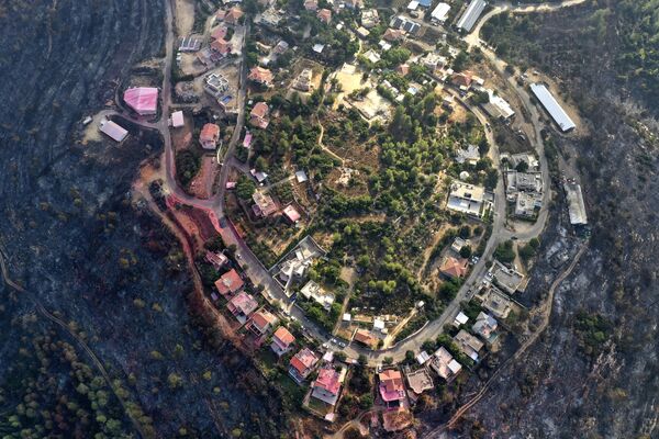 Những khu rừng cháy trụi quanh làng Givat-Yearim, Israel - Sputnik Việt Nam