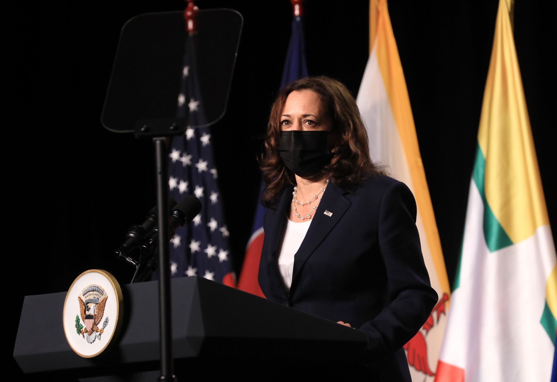 Phó Tổng thống Hoa Kỳ Kamala Harris phát biểu tại Lễ khai trương Văn phòng khu vực Đông Nam Á của Trung tâm Phòng ngừa và Kiểm soát Bệnh tật Hoa Kỳ (CDC) tại Hà Nội. - Sputnik Việt Nam, 1920, 05.10.2021