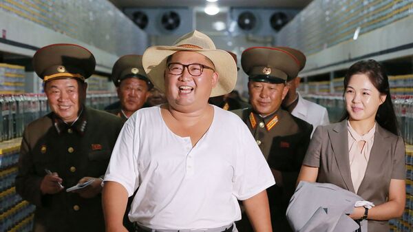 Chủ tịch Kim Jong-un kiểm tra nhà máy ở Kumsanpho, Bắc Triều Tiên - Sputnik Việt Nam