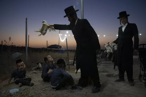 Người Do Thái Chính thống giáo giữ con gà trên đầu các con của mình trong nghi lễ Kaparot ở Beit Shemesh, Israel Người Do Thái Chính thống giáo giữ con gà trên đầu các con của mình trong nghi lễ Kaparot ở Beit Shemesh, Israel - Sputnik Việt Nam