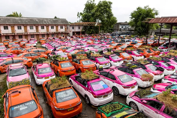 Vườn rau mini trên mái xe của công ty taxi có hoạt động kinh doanh bị ảnh hưởng bởi đại dịch COVID Vườn rau mini trên mái xe của công ty taxi có hoạt động kinh doanh bị ảnh hưởng bởi đại dịch COVID - Sputnik Việt Nam