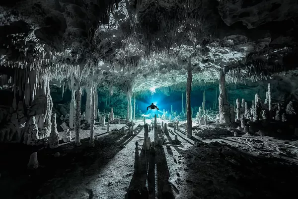 Ảnh của Martin Broen, người chiến thắng hạng mục «Nhiếp ảnh gia thám hiểm trong năm» (Exploration Photographer of the Year) tại cuộc thi Nhiếp ảnh gia đại dương năm 2021 Ảnh của Martin Broen, người chiến thắng hạng mục «Nhiếp ảnh gia thám hiểm trong năm» (Exploration Photographer of the Year) tại cuộc thi Nhiếp ảnh gia đại dương năm 2021 - Sputnik Việt Nam