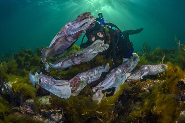 Ảnh của Scott Portelli được đánh giá cao trong hạng mục «Nhiếp ảnh gia thám hiểm trong năm» (Exploration Photographer of the Year) tại cuộc thi Nhiếp ảnh gia đại dương năm 2021 - Sputnik Việt Nam