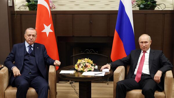 Tổng thống Nga Vladimir Putin tại cuộc gặp người đồng cấp Thổ Nhĩ Kỳ Tayyip Erdogan ở Sochi - Sputnik Việt Nam