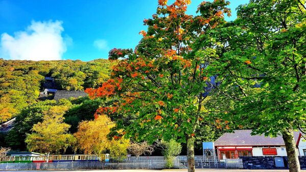 Mùa thu ở làng Llanberys, xứ Wales - Sputnik Việt Nam