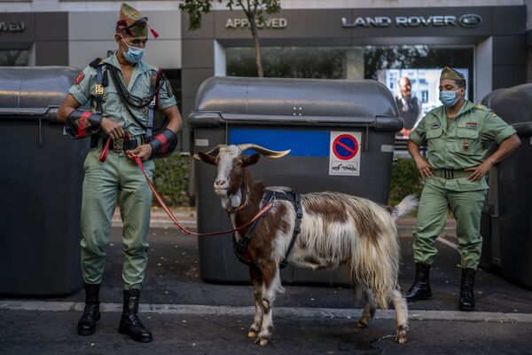 Các thành viên La Legion với chú dê chờ bắt đầu cuộc diễu hành nhân lễ hội Dia de la Hispanidad ở Madrid, Tây Ban Nha - Sputnik Việt Nam