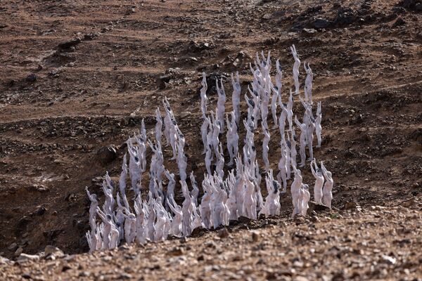 Những người tham gia tạo dáng khỏa thân trước nhiếp ảnh gia nghệ thuật Mỹ Spencer Tunick trên sa mạc gần thành phố Arad của Israel - Sputnik Việt Nam