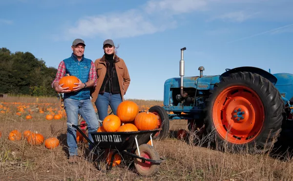 Thoải mái tạo dáng với bí ngô trong mùa thu hoạch tại trang trại Pop Up Farm ở Anh trước thềm lễ hội Halloween - Sputnik Việt Nam