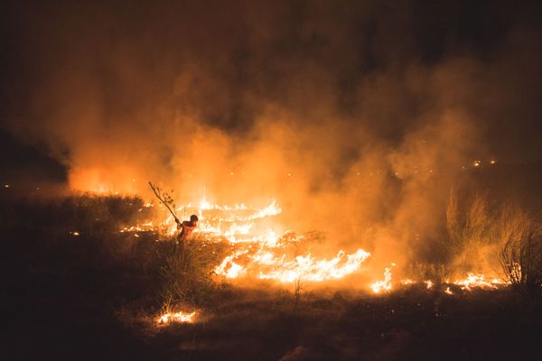 Ảnh «Inferno» (2021) của Amaan Ali, giành giải «Nhiếp ảnh gia trẻ» trong cuộc thi The Environmental Photographer of the Year 2021 - Sputnik Việt Nam